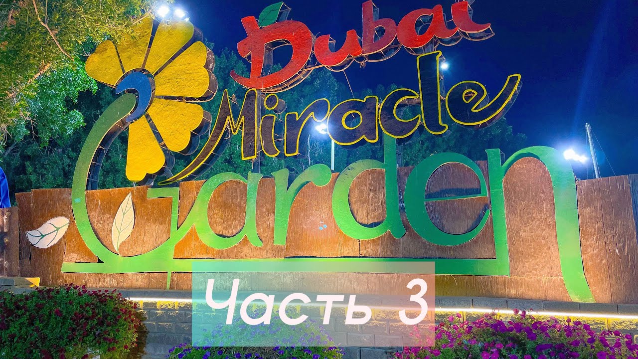 Dubai miracle Garden ￼