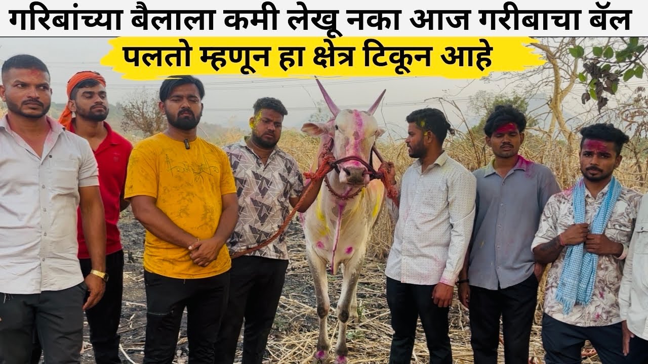 गरिबांच्या बैलाला कमी लेखू नका आज गरीबाचा बॅल पलतो म्हणून हा क्षेत्र टिकून आहे ..