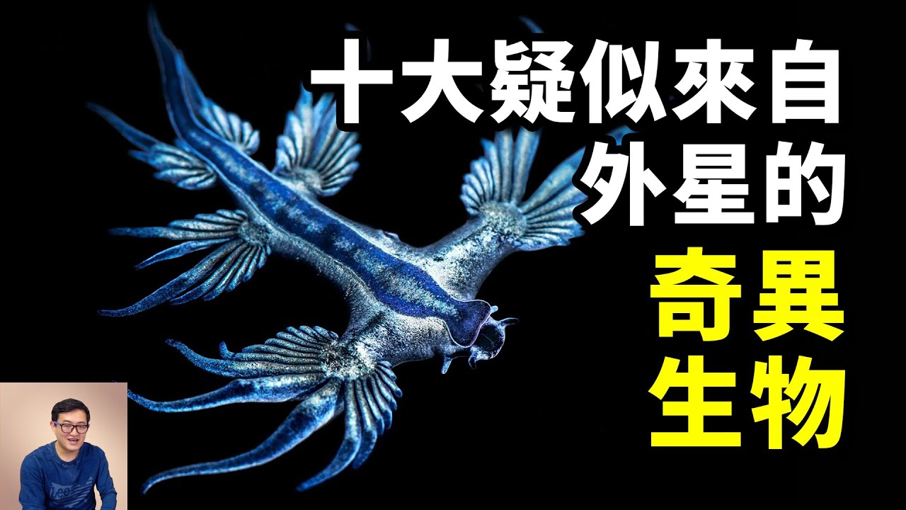 10種酷似外星生物的海洋動物，第二名因拉麵意外走紅，第一名你在海灘上可能會遇到！【老肉雜談】#動物 #海洋生物 #海洋 #外星生物 #科幻