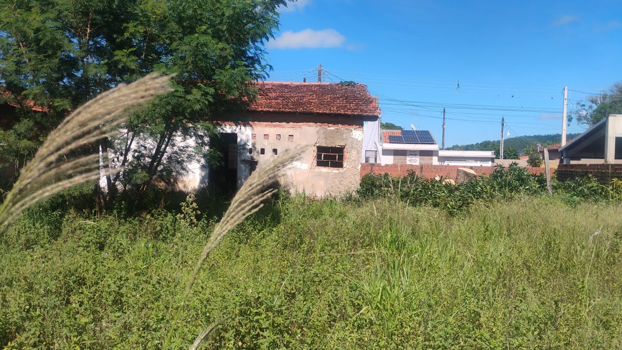 Félix da selva vídeo casa abandonada