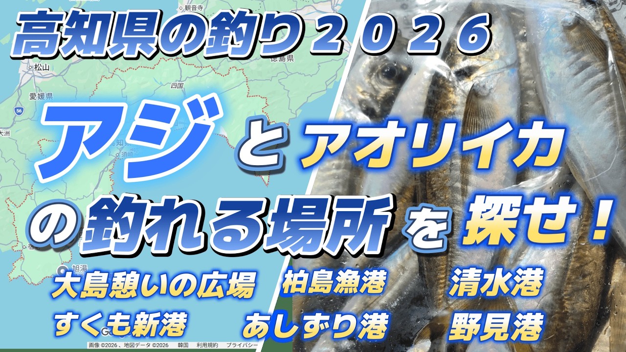 アジとアオリイカの釣れる場所を探せ！・高知県の釣り2026・大島憩いの広場・すくも新港・柏島漁港・あしずり港・清水港・野見港「キャンピングカー車中泊で北海道～沖縄日本全国釣りの旅」