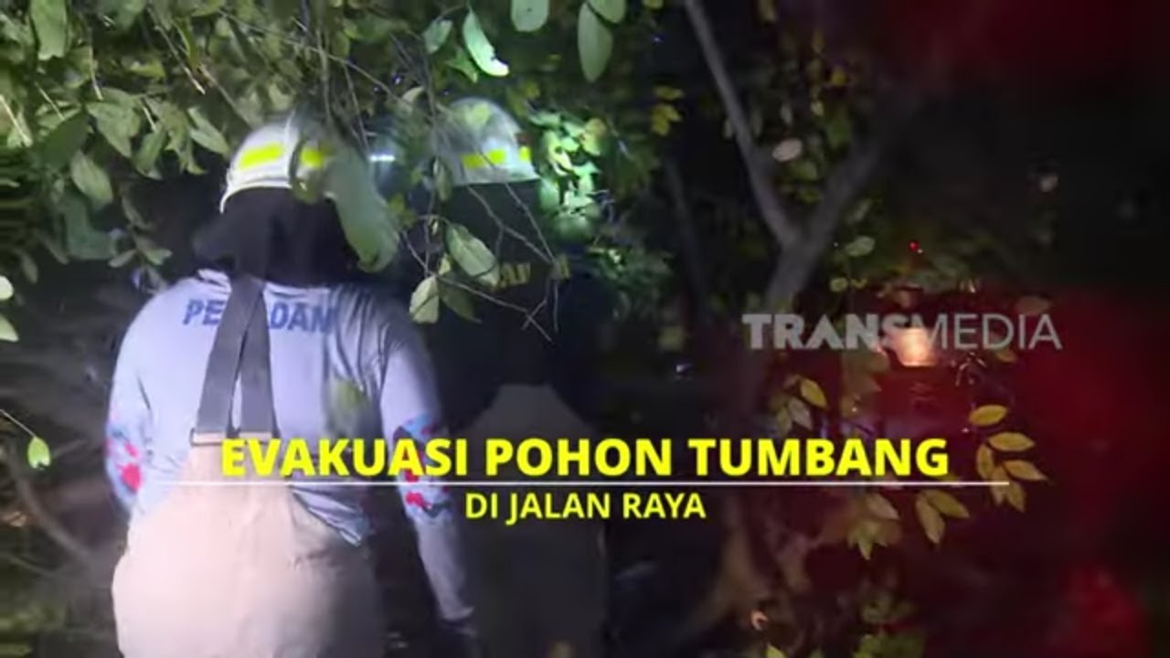 Evakuasi Pohon Tumbang | UJUNG-UJUNGNYA DAMKAR (09/04/25) Part 6