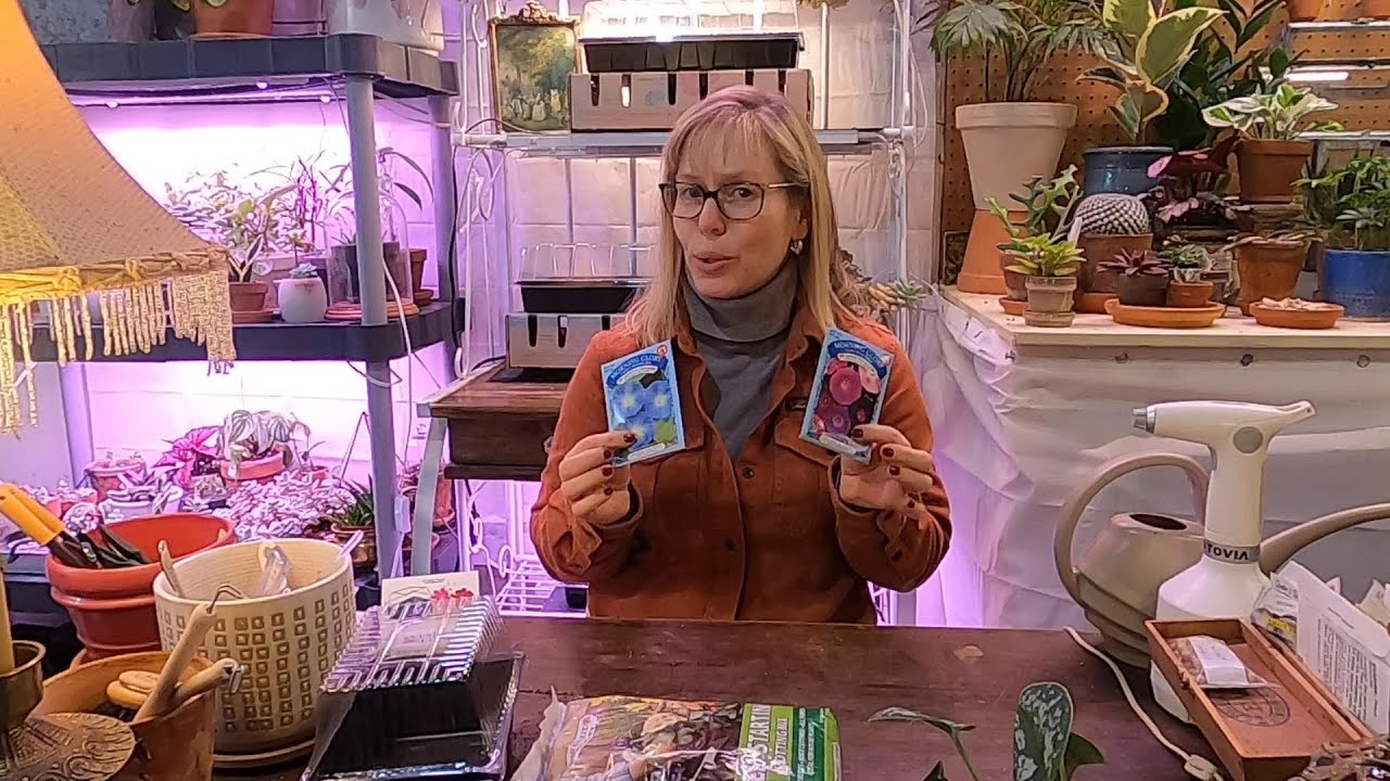 Flowers Indoors 🌺~ Dollar Store Plant Supply Scores👌 ~ Repotting 🪴~ Seed Starting 🌿// Suburban Oasis