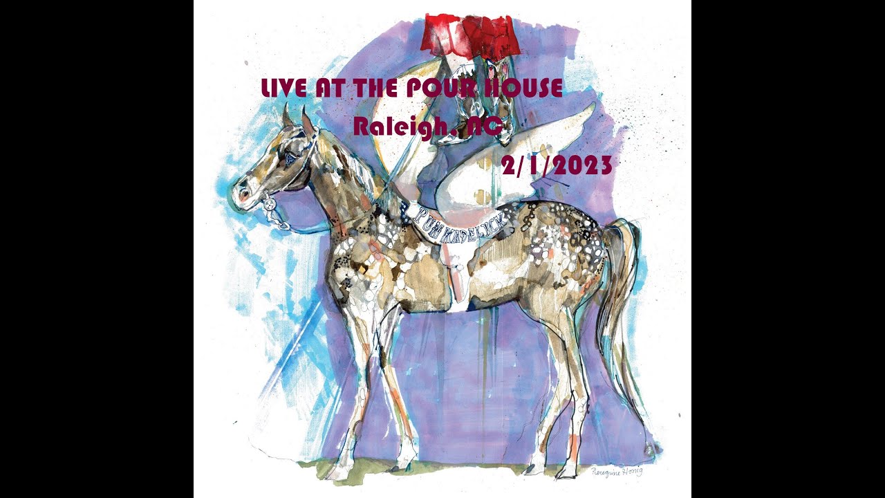 Mike Dillon and Punkadelick - Live at the Pour House - Raleigh, NC, 2/1/23