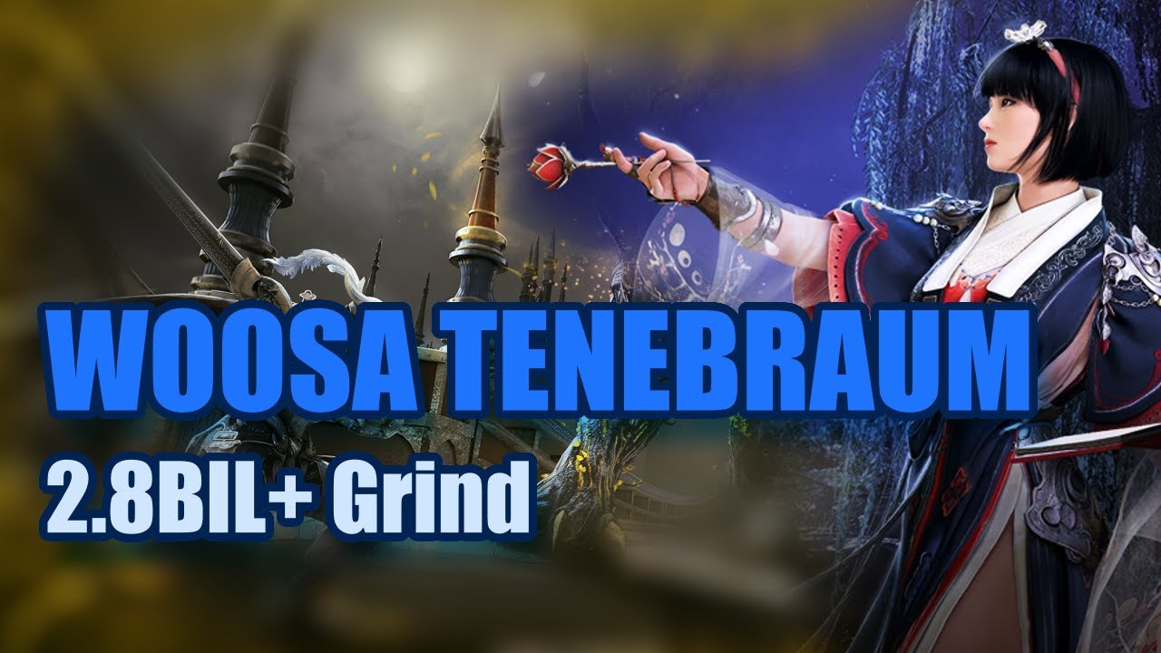 Black Desert Online | Woosa Tenebraum Grind Highlight (19k Trash)