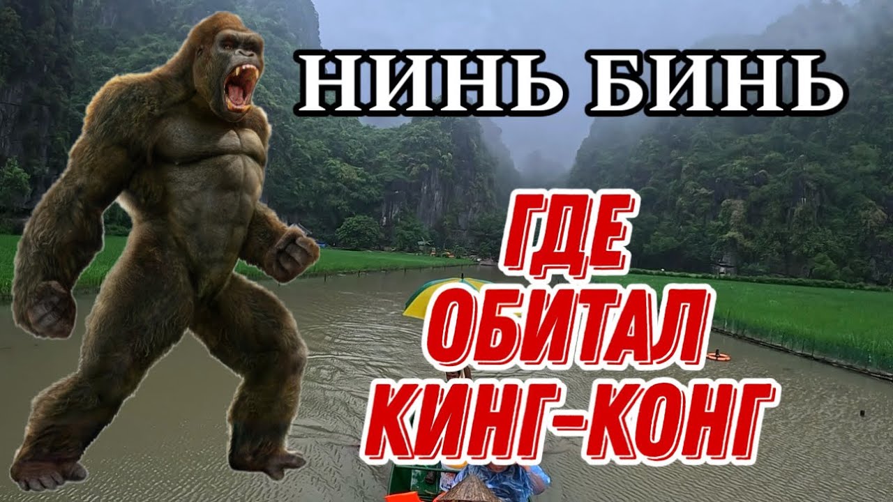 НИНЬ БИНЬ / СЕВЕРНЫЙ ВЬЕТНАМ / ТАМ ГДЕ ЖИЛ КИНГ-КОНГ/ ДЕРЕВНЯ ТАМ COC / ПИК MUA / ПЕЩЕРЫ И ХРАМЫ