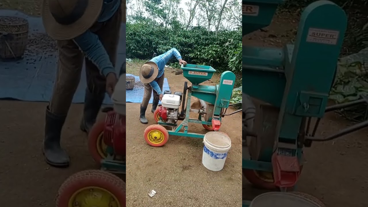 #kopilokal atau kawe nak hitam gale kawan nak mane mau beli pajero