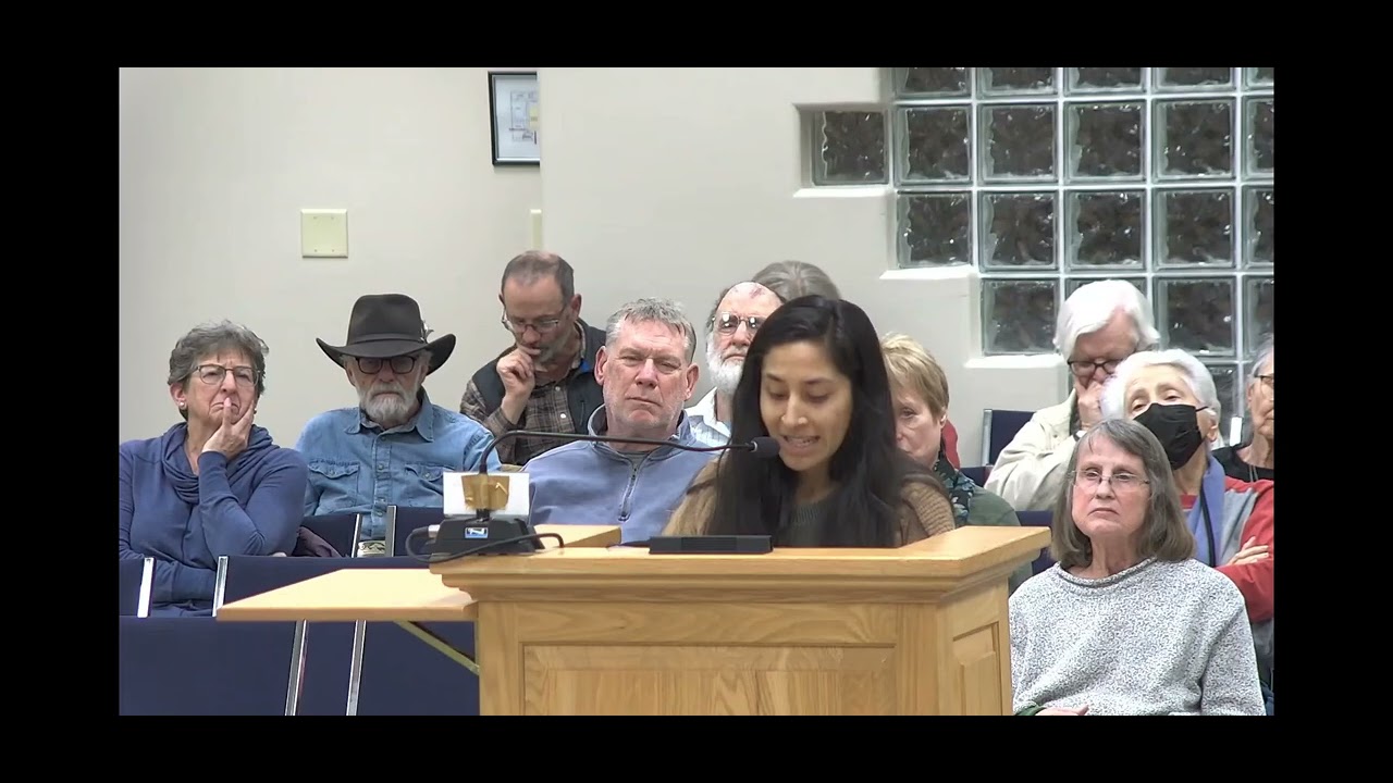 Speaking at a City Council Meeting Exposing Corruption in Silver City, NM! #silvercity
