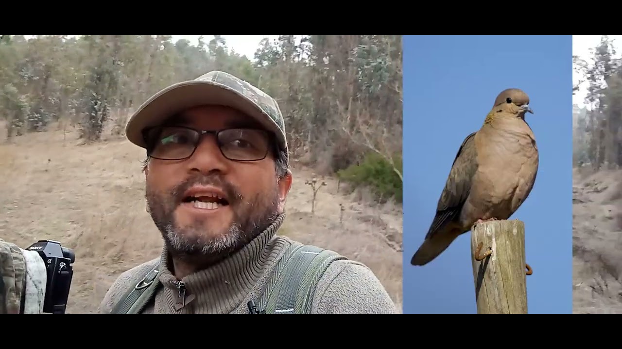 Ruta fotográfica en el campo