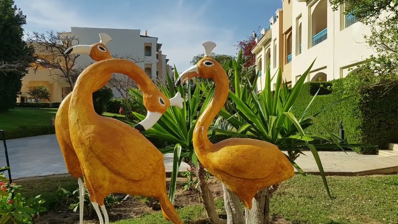 Concorde Moreen Beach & SPA 🌞