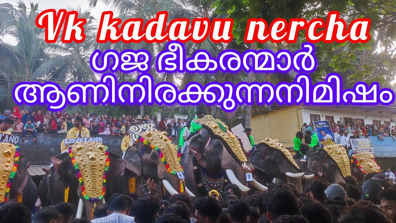 Vk kadavu fest വി കെകടവ് നേർച്ച2024 തലപൊക്കൽ  മത്സരം