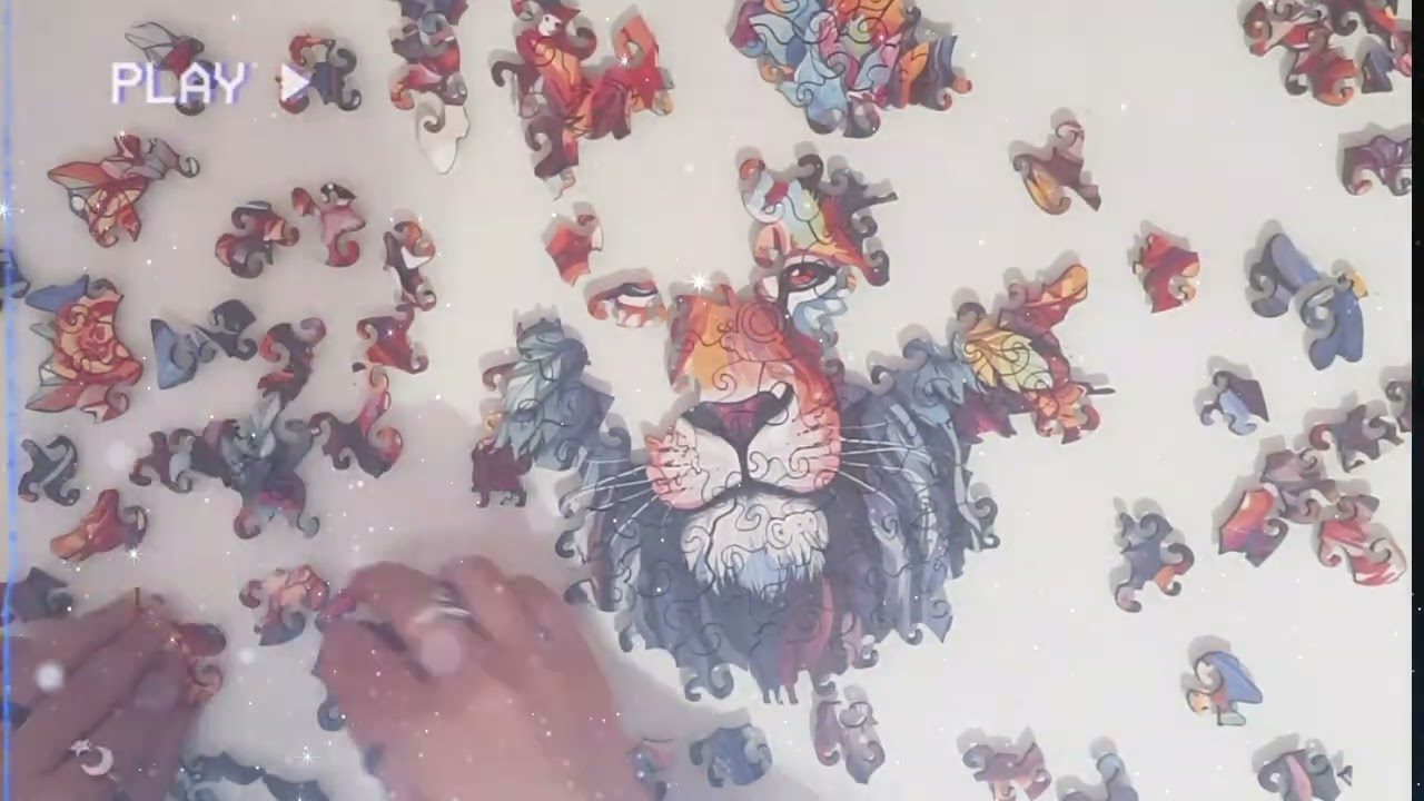 Puzzle of the day: Lion