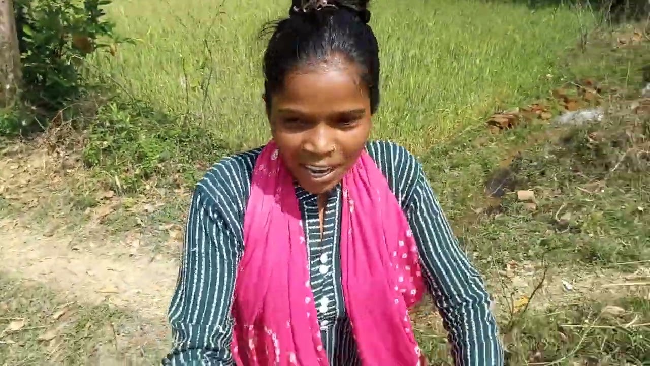 खेत  गेहूं  पानी  लगाना   नहीं  आता हें  #@ranisinghoffcial980 