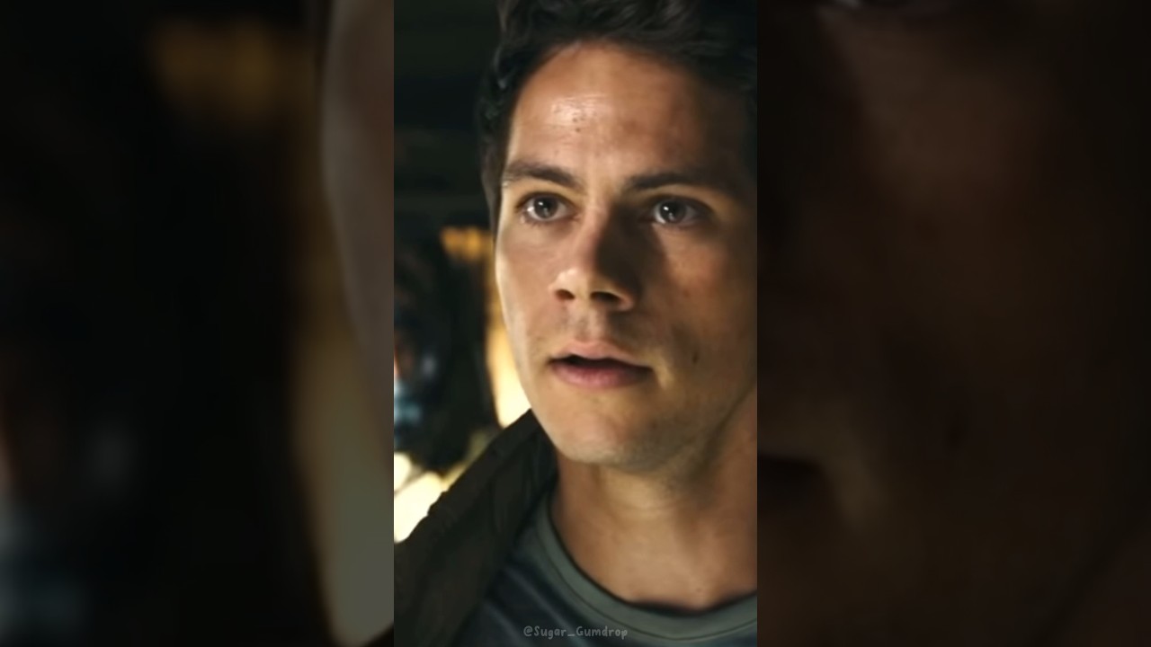 Maze Runner x Y/n [1/2]