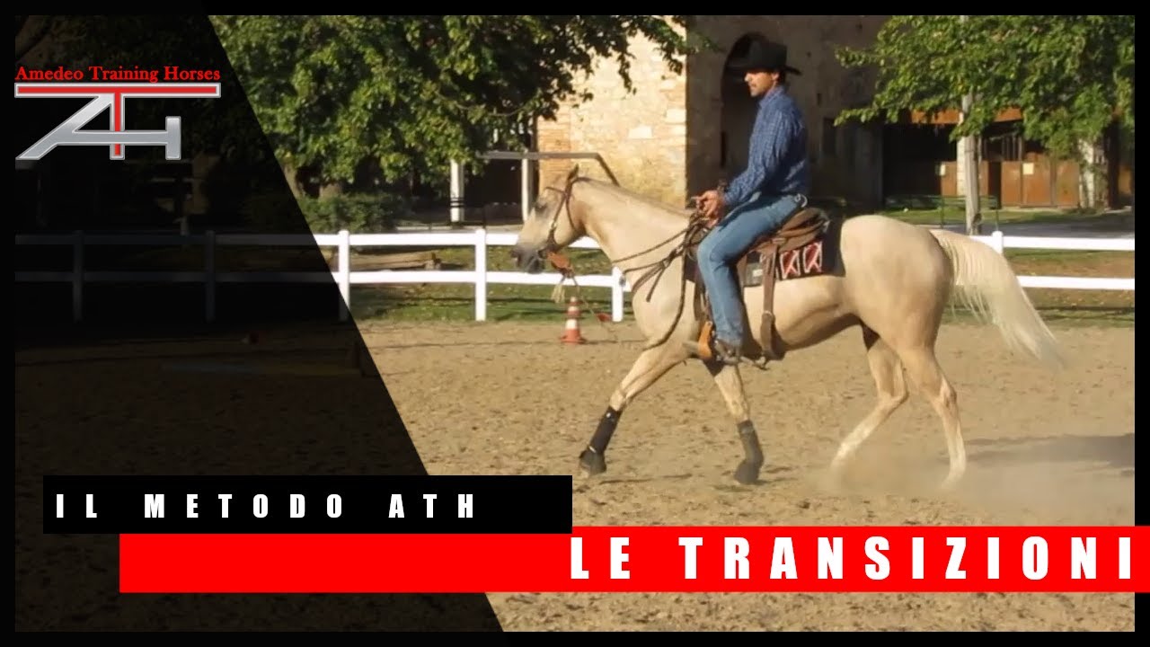 IL METODO ATH - MANOVRE DI BASE - LE TRANSIZIONI