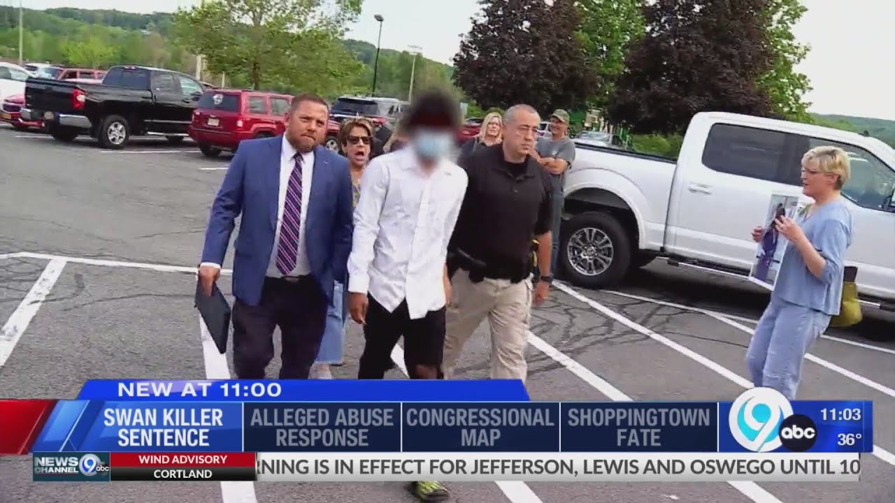 The teen who killed a swan in Manlius is sentenced