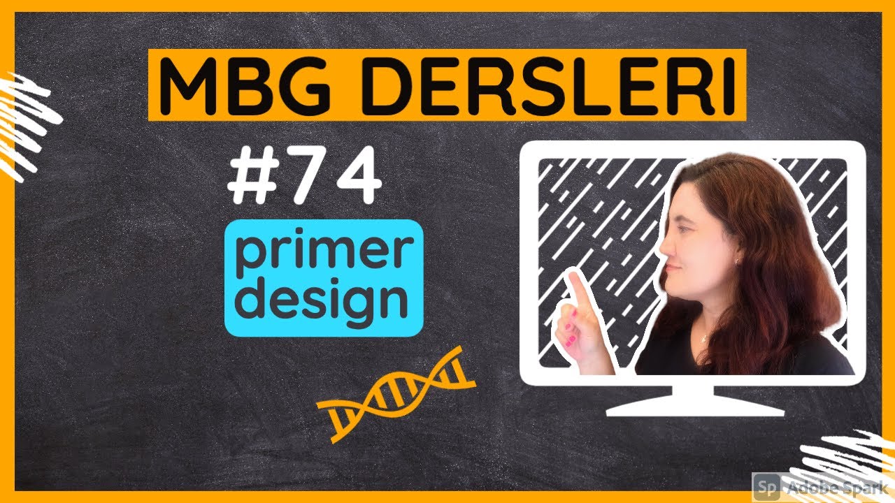 #74: primer design; Moleküler Biyoloji ve Genetik Dersleri