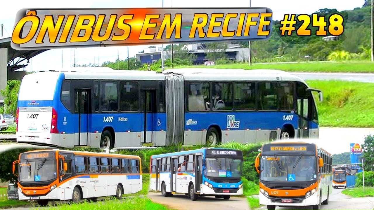 #248 Entrada do Terminal ABREU E LIMA -  Movimentação de ônibus do recife