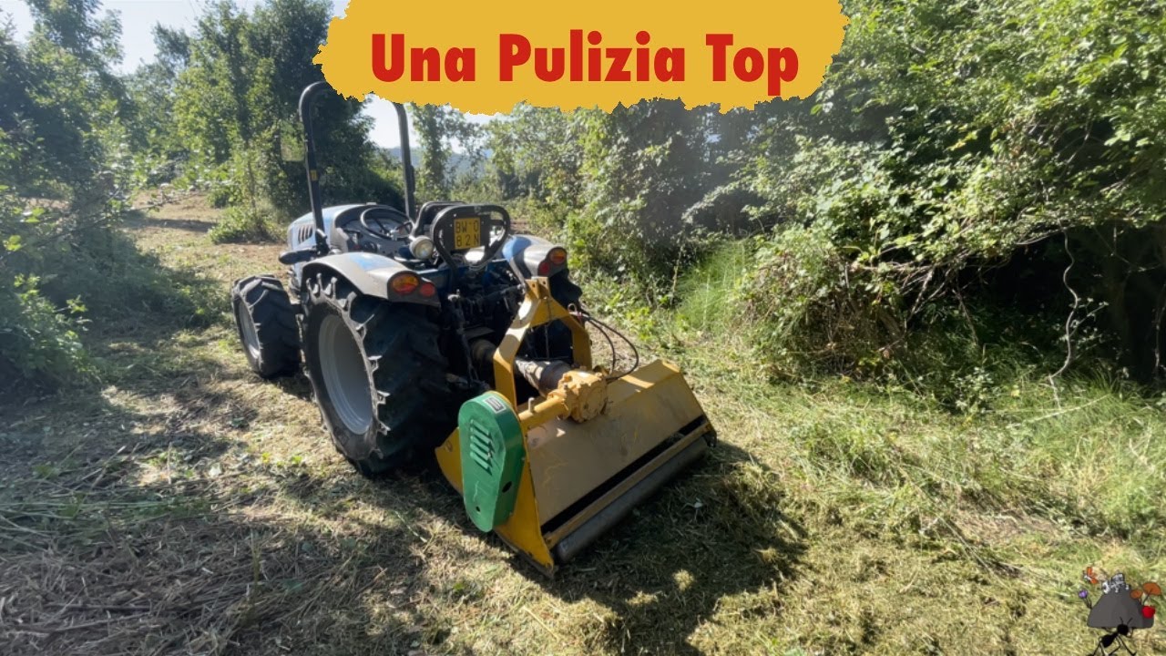 Landini 2-55 con Trincia RCM - Trinciatura del nuovo terreno😎 ep 1