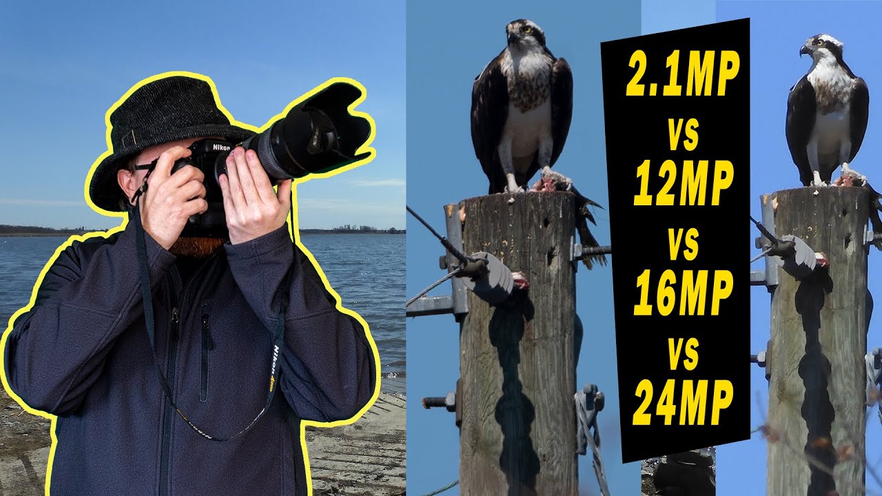 Zany Camera Shootout - Do Megapixels Really Matter - 2.1 vs 12 vs 16 vs 24 MP