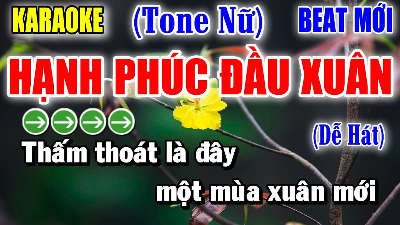 Hạnh Phúc Đầu Xuân - Karaoke Tone Nữ ✦ Beat Mới | Yêu ca hát - Love Singing |