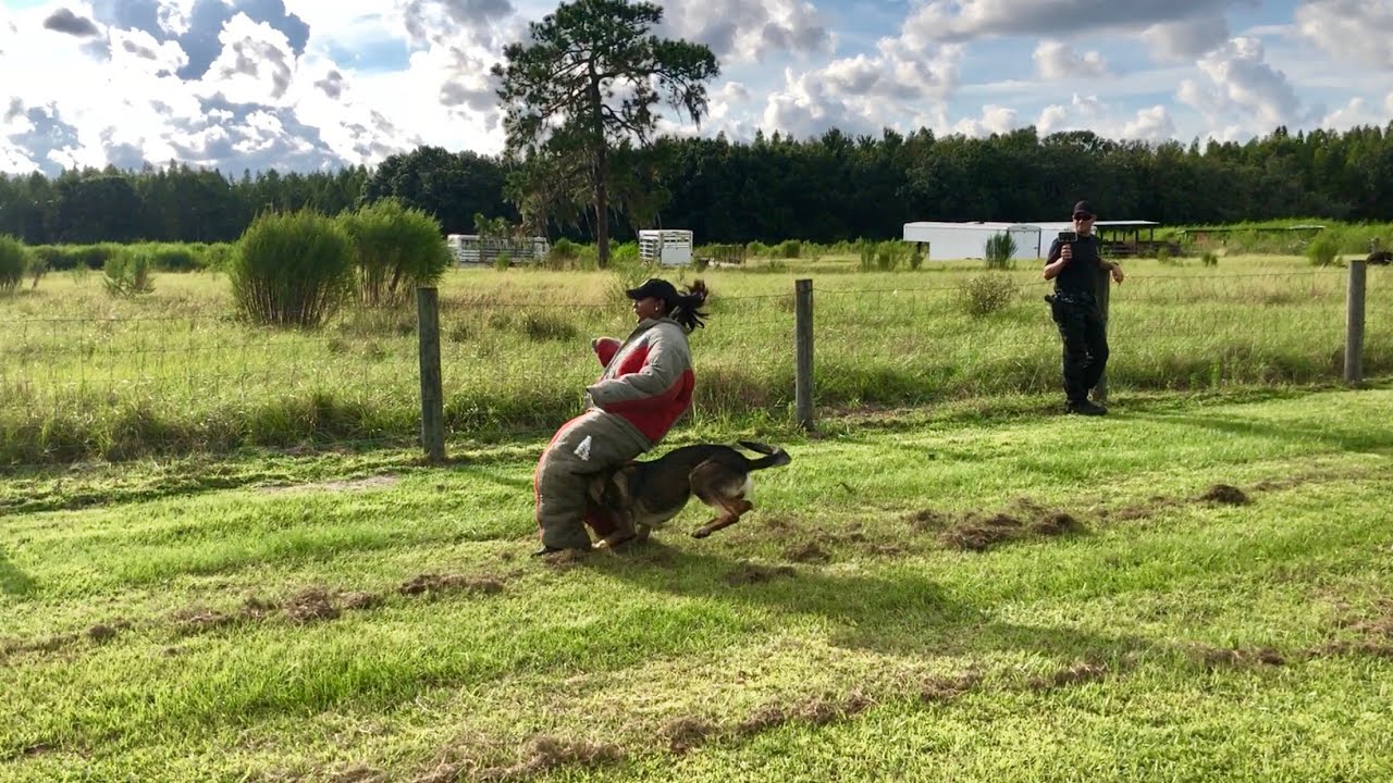 PSO Day In The Life | Episode 4 | K9 Bite Suit