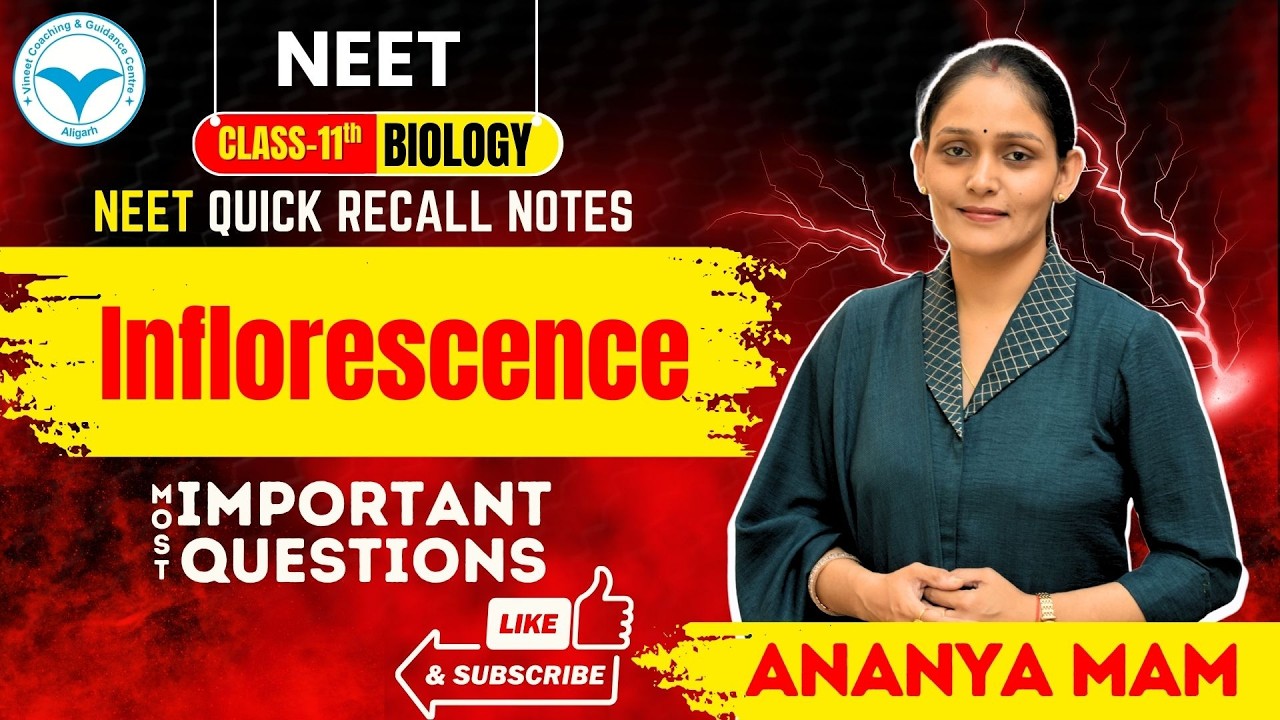 Inflorescence | NEET Biology Class 11 | Quick Recall Notes & Most Important Questions #boardexam