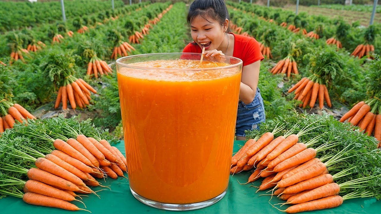 Harvesting 1000+ GIANT Organic Carrots on The Field Goes To Market Sell, Healthy Carrot Juice Recipe