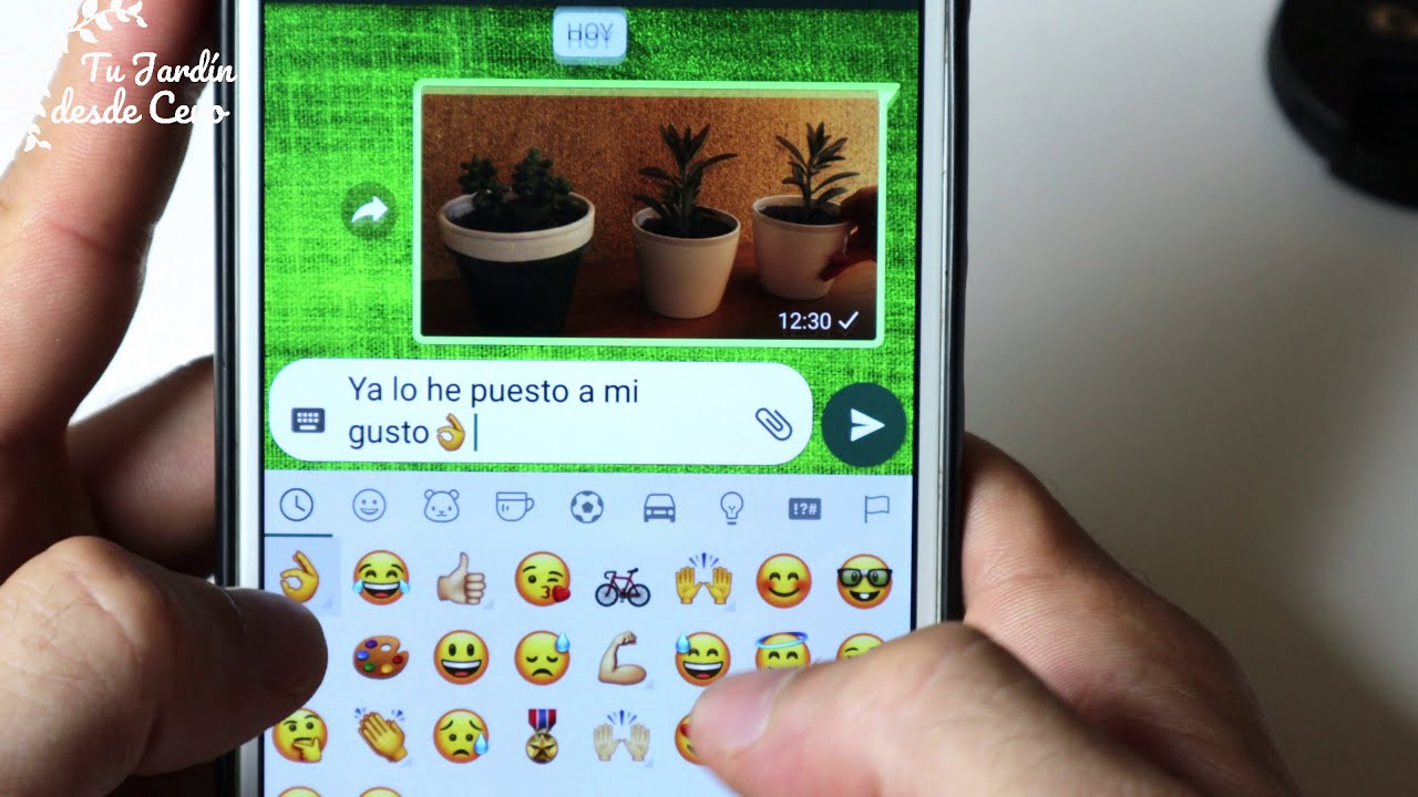 👨🏼&zwj;🌾 Una breve historia de Tu Jard&iacute;n desde Cero  