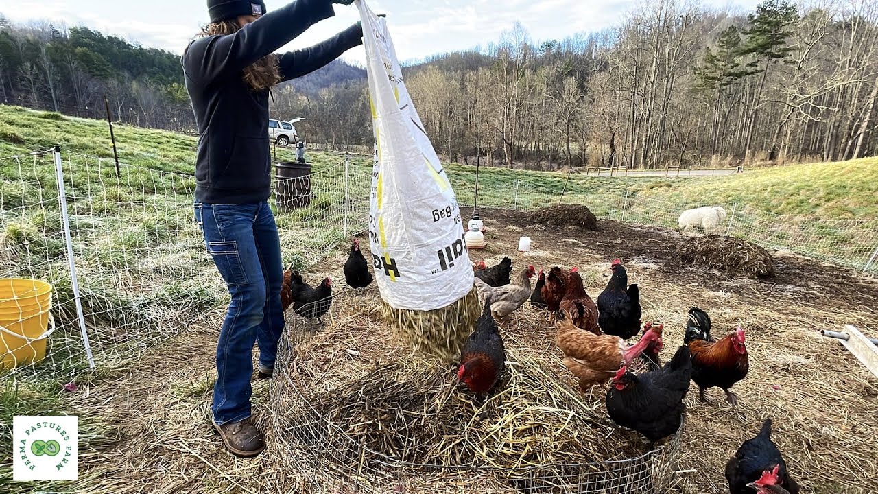How to SLASH Farm Feed Costs