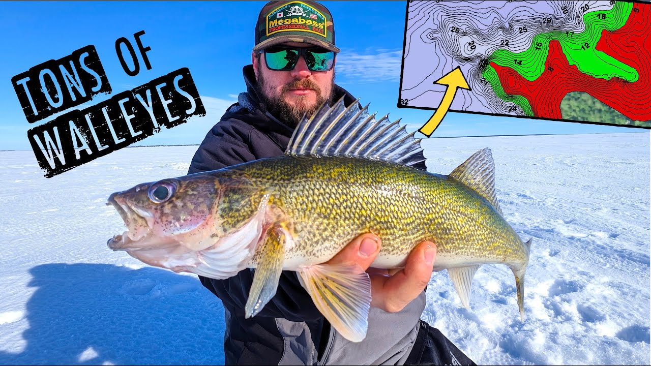 CRUSHING a TON of Walleyes Ice Fishing My FAVORITE Place!
