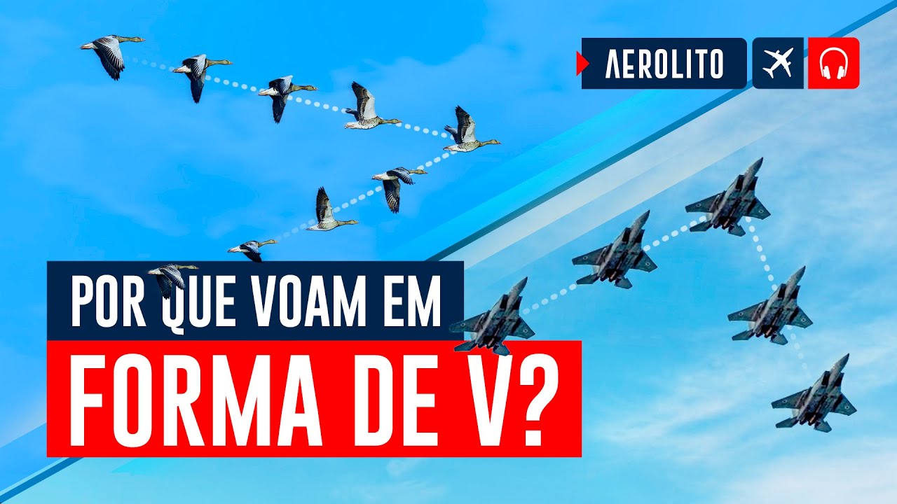 Por que aviões e pássaros voam em formação em V EP. 730