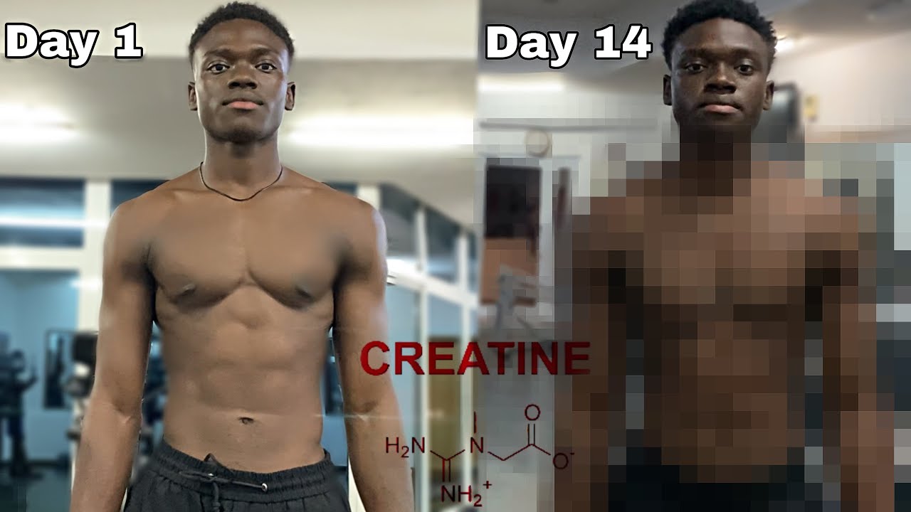 I Took Creatine For 14 Days Without Working Out