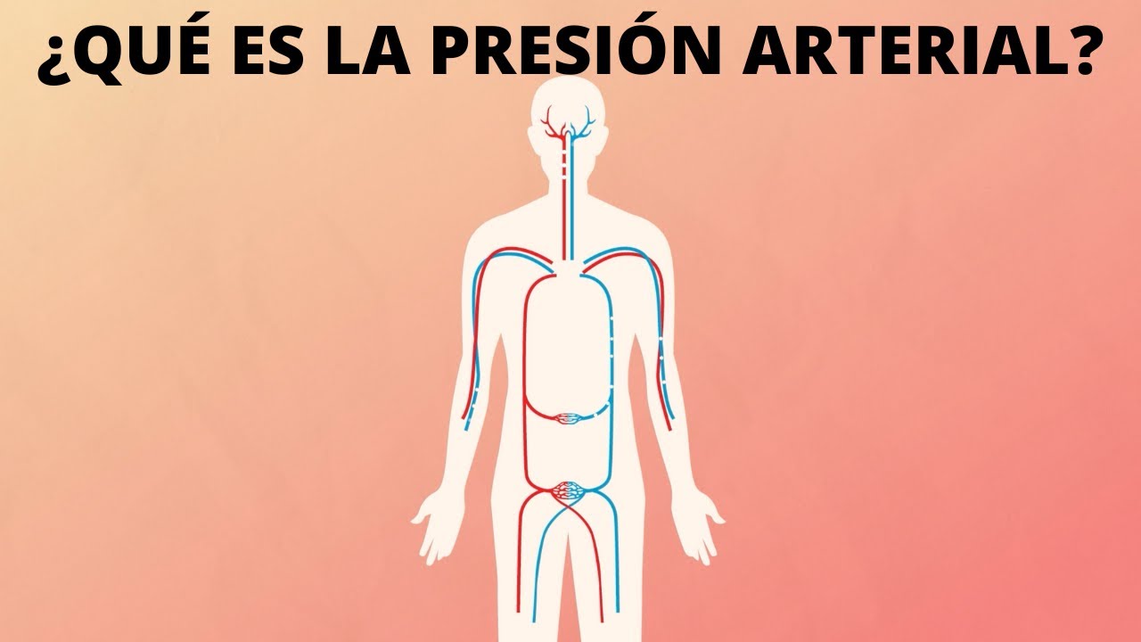 &iquest;Qu&eacute; es la presi&oacute;n arterial?