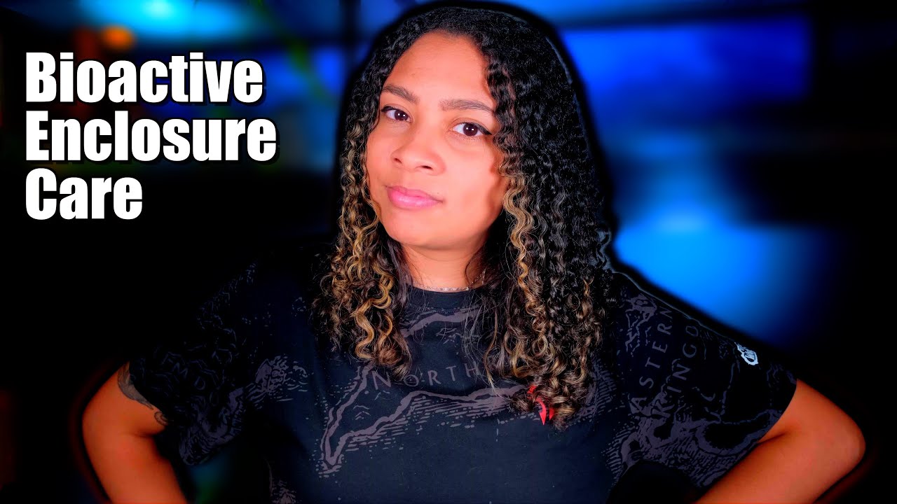 Caring For Bioactive Tanks | How To