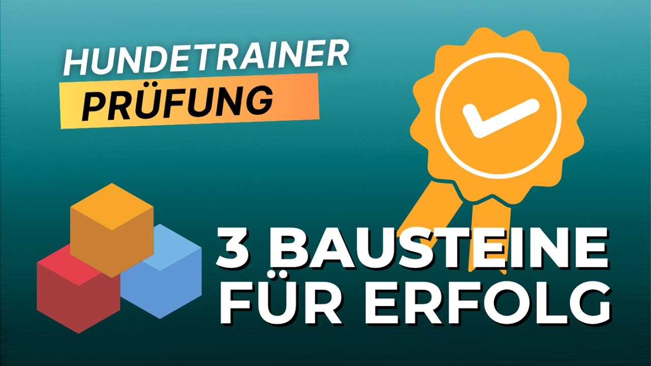 So meisterst du die Hundetrainer-Prüfung mit 3 Bausteinen