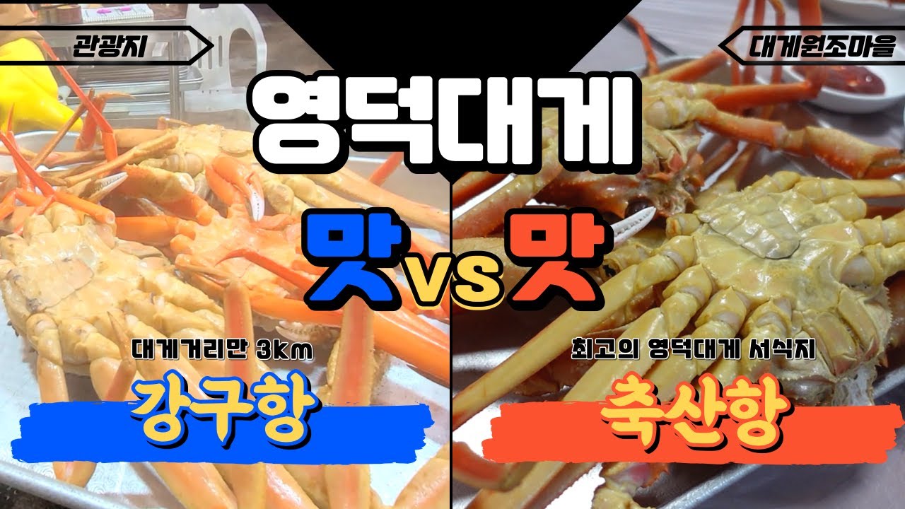 영덕대게 강구항 vs 축산항 어디가 더 맛있을까? 대게 가성비 끝판왕 추천!!_아이들과 함께 떠나는 영덕대게 맛 여행!!