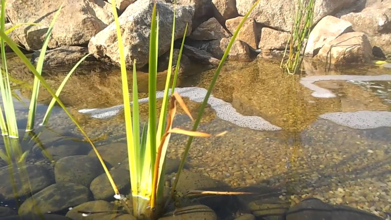 Bassin, rivière et cascade