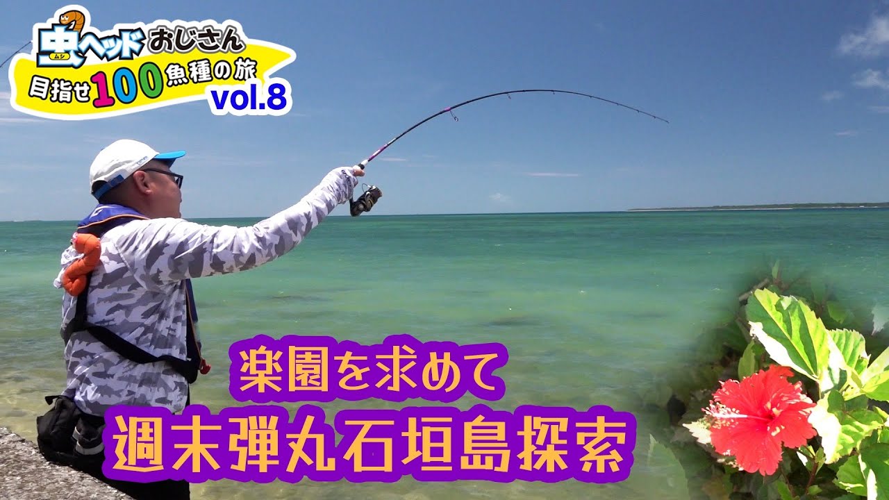 楽園を求めて週末弾丸石垣島探索【虫ヘッドおじさん目指せ100魚種の旅vol.8】