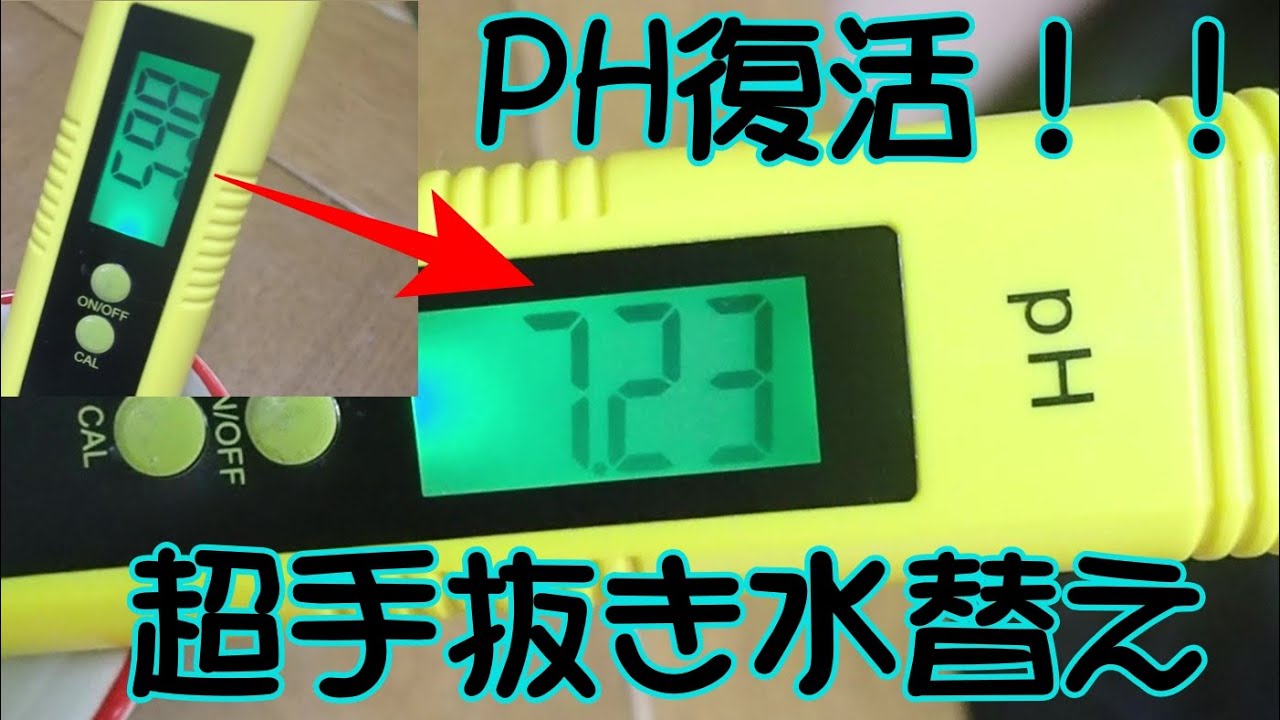 ＃１　90CMグッピー水槽水替え　PHを酸性から弱アルカリ性に　超手抜き調整