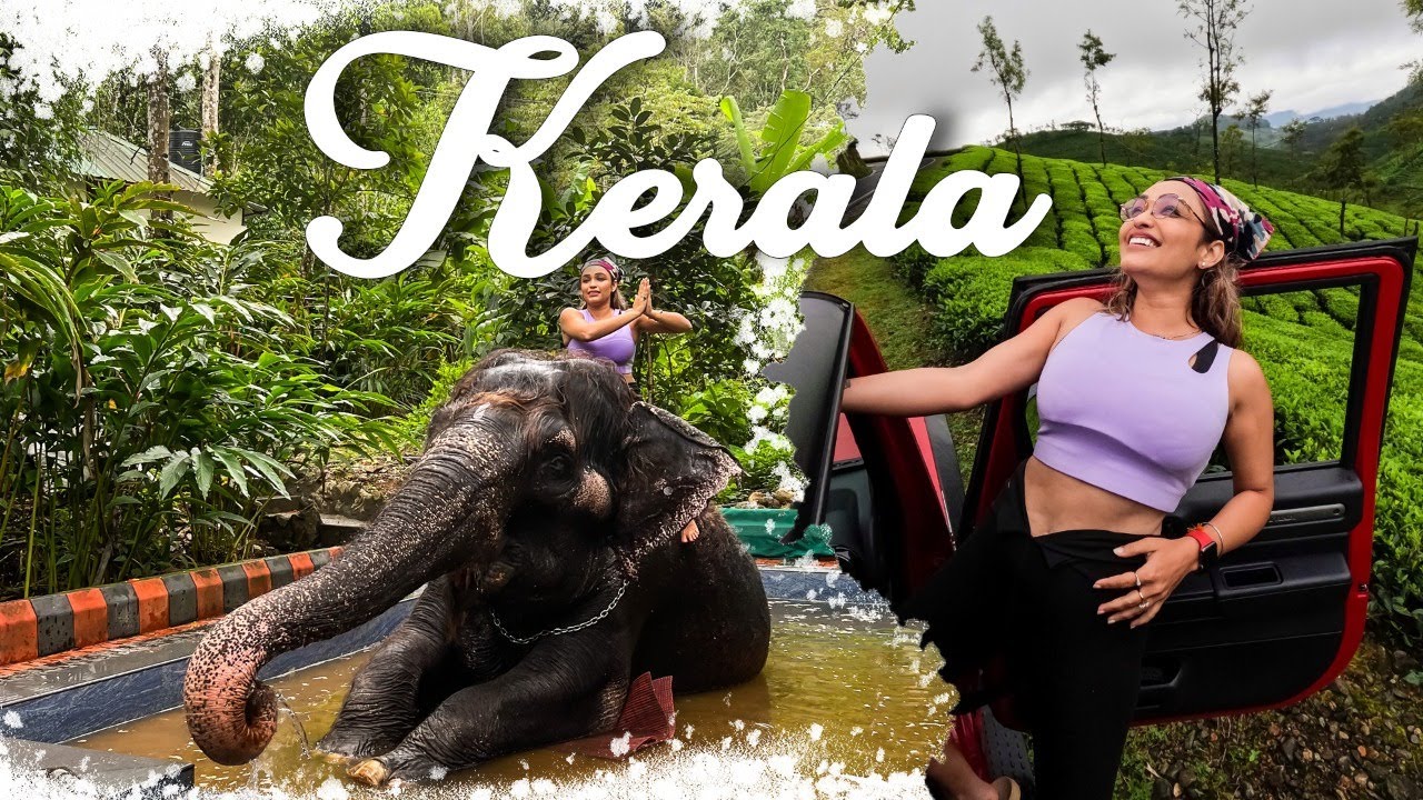 Thekkady - Periyar Tiger Reserve- Elephant shower in Kerala | Kerala tourism