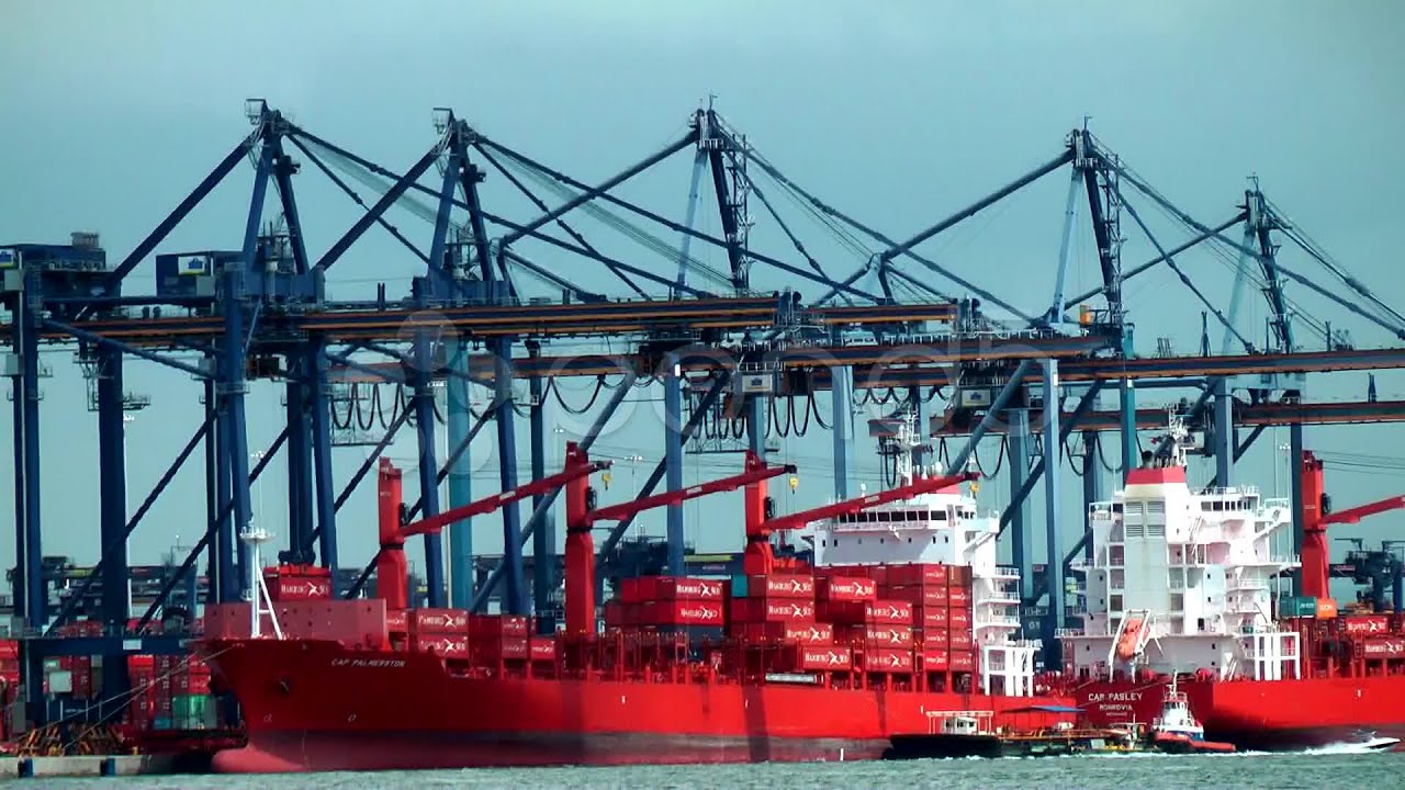 Cargo Dock, Dockyard, Shipping Industry. Stock Footage