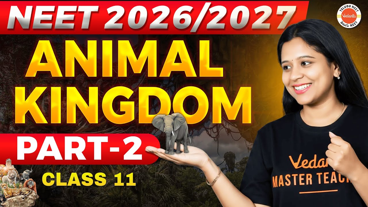 ANIMAL KINGDOM |  Part -2 | Class 11 | NEET 2026 & 2027  | Sunaina Ma'am