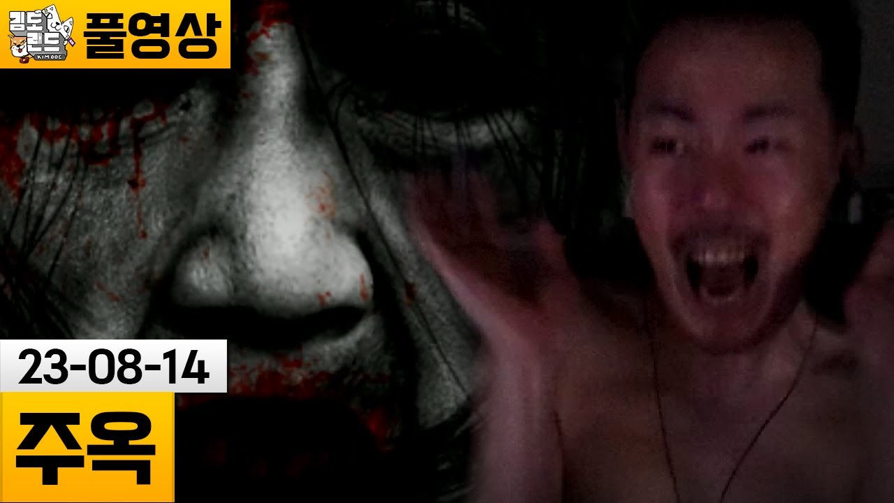 [주옥] 호들갑 주의! 주옥같이 무서운(?) 공포게임! (23-08-14) | 김도 풀영상