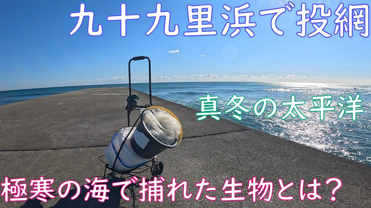 【投網】極寒の九十九里浜にある某堤防で投網を打って捕れた生物とは！？【冬の海】