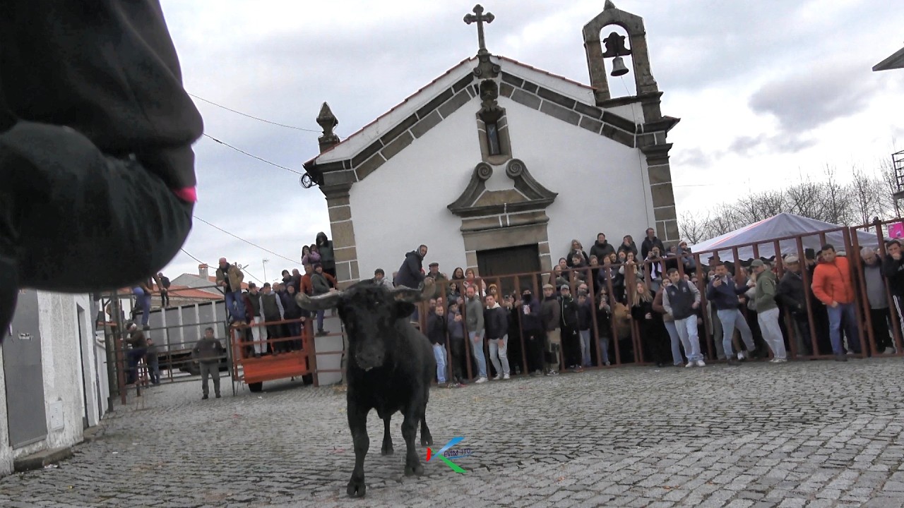 Aldeia do obispo 2026 ( Portugal )  capea del  domingo