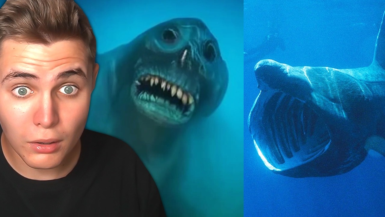 Neprozkoumaná Část Oceánu o Které Nikdo Nemluví