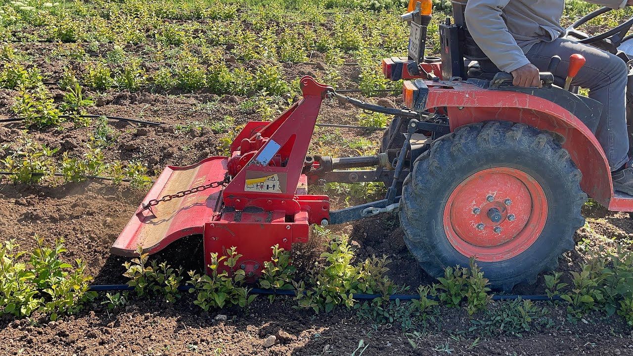 MİNİ TRAKTÖR KUBOTA B1820