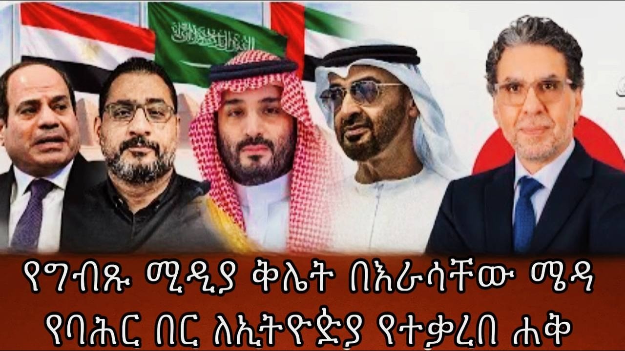 የግብጹ ሚዲያ ቅሌት በእራሳቸው ሜዳየባሕር በር ለኢትዮዽያ የተቃረበ ሐቅ