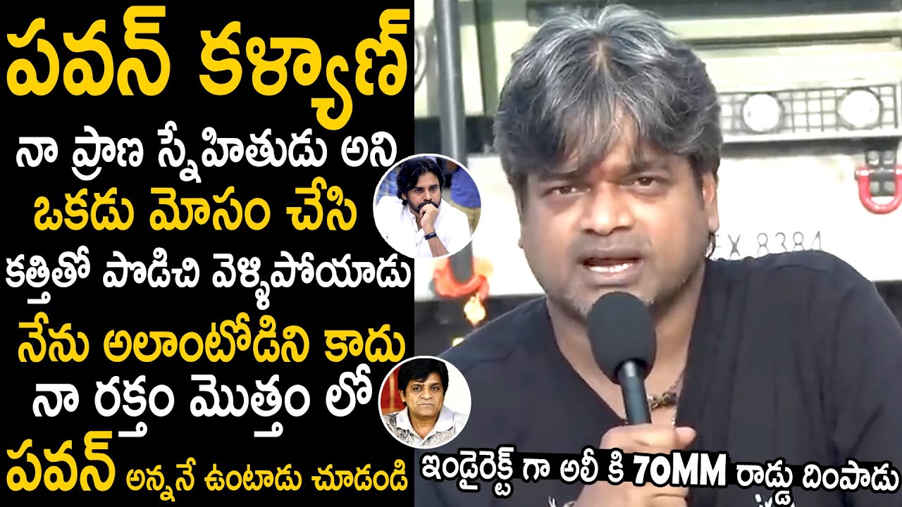 Harish Shankar Indirect Comments On Ali Cheated Pawan Kalyan | Janasena Party | TeluguCinema Brother